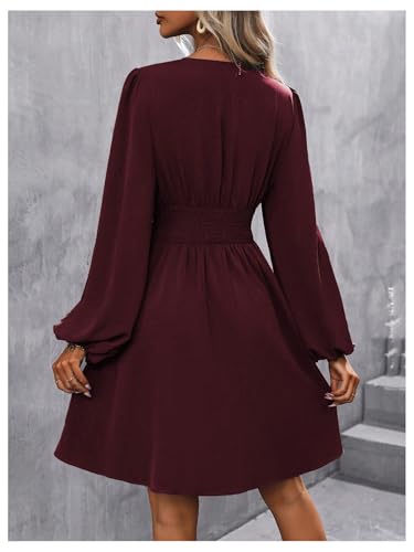 Milumia Women's Ruched Lantern Long Sleeve Wrap V Neck Flared Elegant Short Dresses Red Violet XX-Large